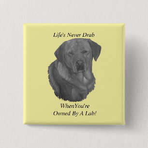 Badge Carré 5 Cm jaune labrador retreiver chien portrait slogan amu