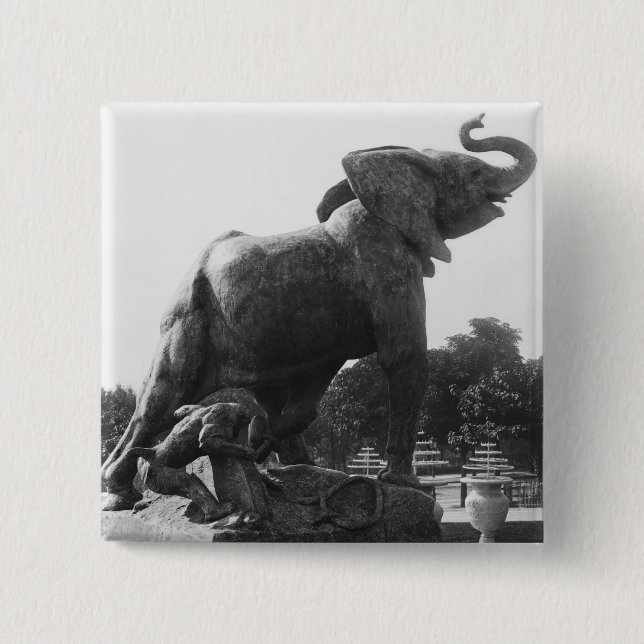 Badge Carré 5 Cm Jeune éléphant attrapé dans un piège (Devant)