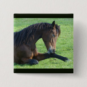Badge Carré 5 Cm Joli Cheval Brown allongé dans l'herbe