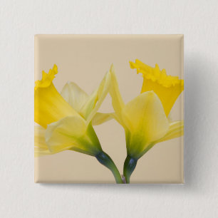 Badge Carré 5 Cm Jonquilles jaunes