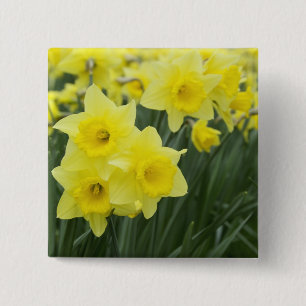 Badge Carré 5 Cm Jonquilles RF)