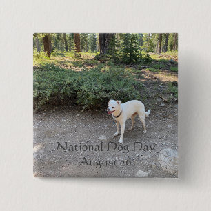 Badge Carré 5 Cm Journée nationale des chiens 26 août