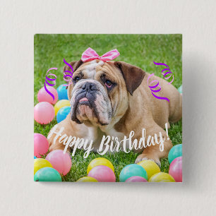 Badge Carré 5 Cm Joyeux anniversaire de bouledogue mignon