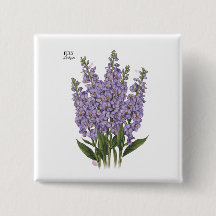 Juillet Larkspur Bloom - Cadeau d'anniversaire per
