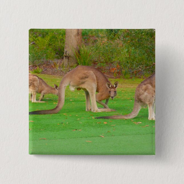 Badge Carré 5 Cm kanga (Devant)