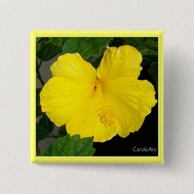 Badge Carré 5 Cm Ketmie jaune citron (Devant)