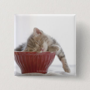 Badge Carré 5 Cm Kitten Dormir au bol