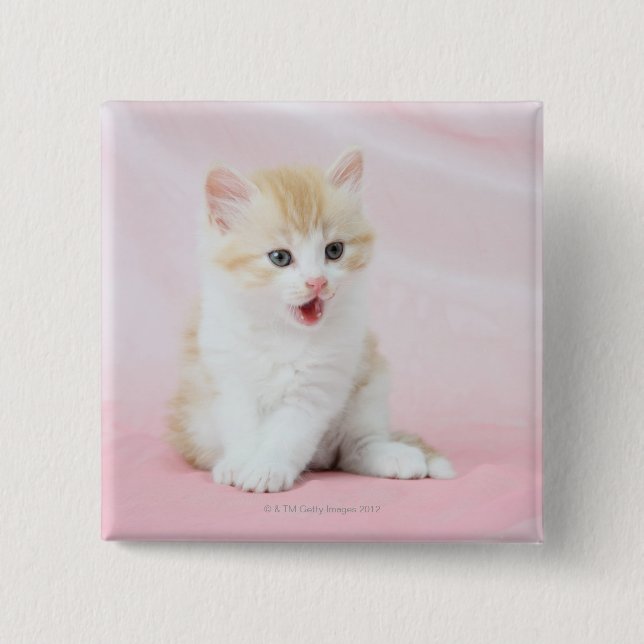 Badge Carré 5 Cm Kitten sur Arrière - plan rose (Devant)