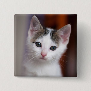 Badge Carré 5 Cm Kitty repéré par blanc