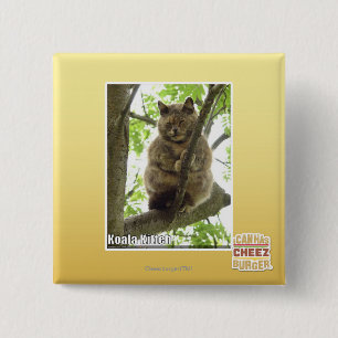 Badge Carré 5 Cm Koala Kitteh