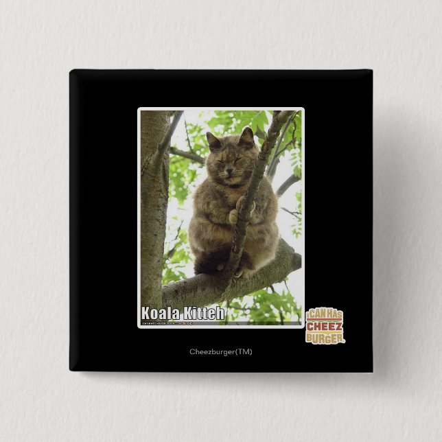 Badge Carré 5 Cm Koala Kitteh (Devant)