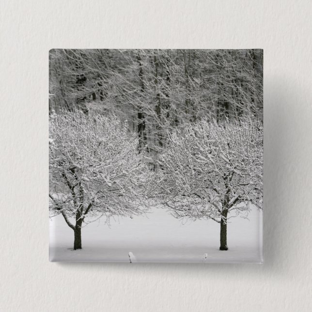 Badge Carré 5 Cm La neige a couvert le paysage (Devant)