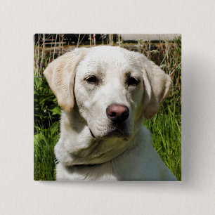 BADGE CARRÉ 5 CM LABRADOR DOG