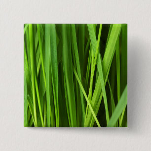 Badge Carré 5 Cm Lames d'herbe