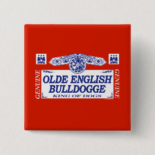 Badge Carré 5 Cm L'anglais d'antan Bulldogge
