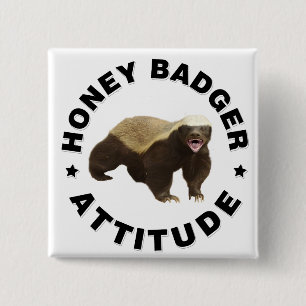Badge Carré 5 Cm Le blaireau de miel a l'attitude