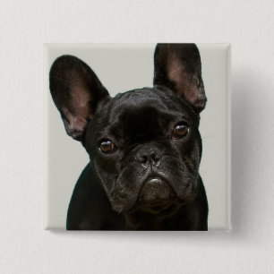 Badge Carré 5 Cm Le chiot le plus mignon de bouledogue français