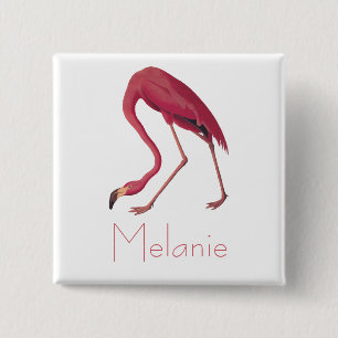 Badge Carré 5 Cm Le Flamant rose rose d'Audubon Vintages oiseaux d'