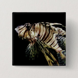 Badge Carré 5 Cm Le poisson-Lion