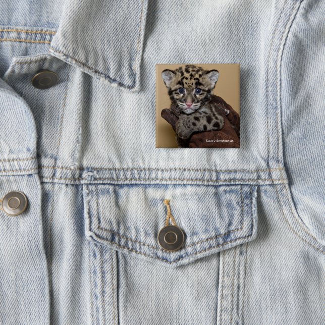 Badge Carré 5 Cm Léopard opacifié CUB (En situation)