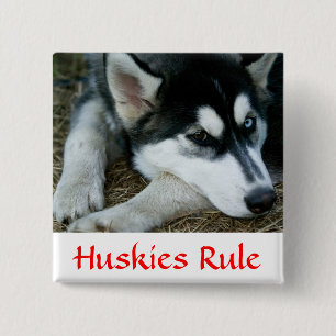 Badge Carré 5 Cm Les Huskies gouvernent le bouton Sibérien Husky Pi