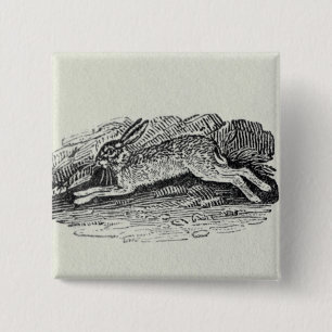 Badge Carré 5 Cm Les lièvres