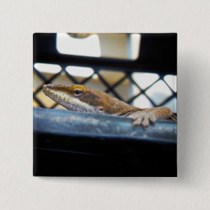 Badge Carré 5 Cm Lézard d'oignons vertes du soleil
