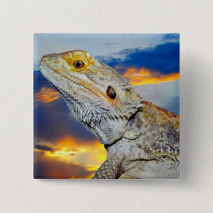 Badge Carré 5 Cm Lézard gris au coucher du soleil