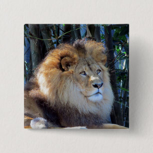 Badge Carré 5 Cm lion