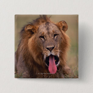 Badge Carré 5 Cm Lion 2