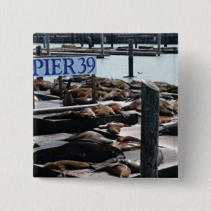 Badge Carré 5 Cm Lions de mer de Pier 39