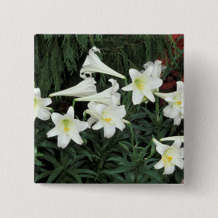 Badge Carré 5 Cm Lis de Pâques (Lilium regale)