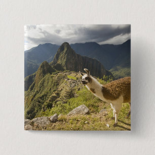Badge Carré 5 Cm Llamas et vue sur Machu Picchu,