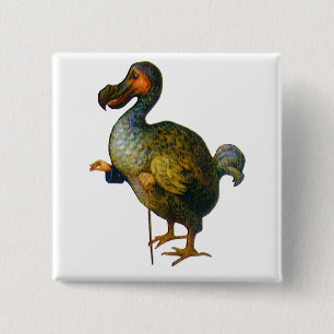 Badge Carré 5 Cm L'oiseau de dronte
