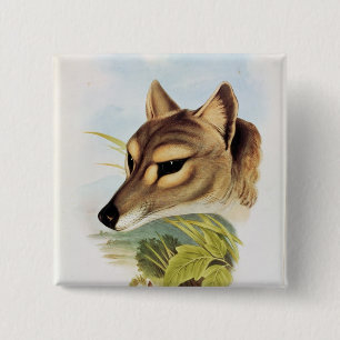 Badge Carré 5 Cm Loup ou tigre tasmanien