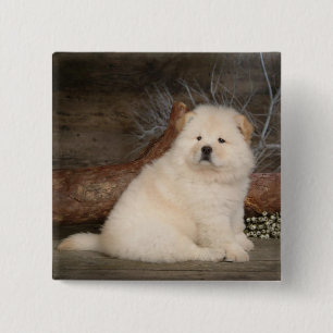 Badge Carré 5 Cm Love Chow Chow Puppy Chien Pin