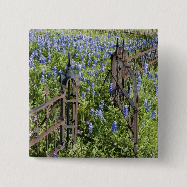 Badge Carré 5 Cm Lupins bleus et phlox entourant la grille du cimet (Devant)