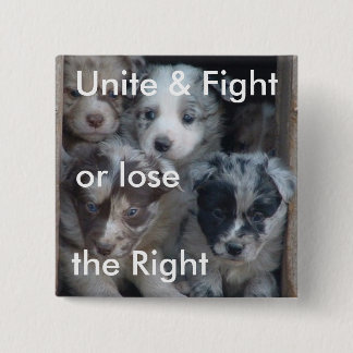 Badge Carré 5 Cm Lutter pour le droit d'élever des chiens