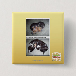 Badge Carré 5 Cm M. snuggies forebber de hadz d'iz