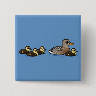 Badge Carré 5 Cm Mallard et quatre canetons