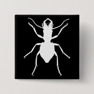 Badge Carré 5 Cm Manticora tuberculata