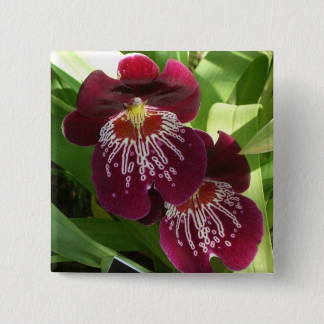 Badge Carré 5 Cm Maroon Orchids II (Devant)