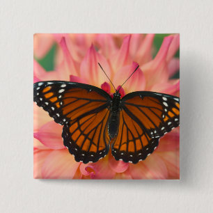 Badge Carré 5 Cm Mimique Du Papillon Monarque