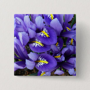 Badge Carré 5 Cm Miniature Bleu Irises Printemps Floral