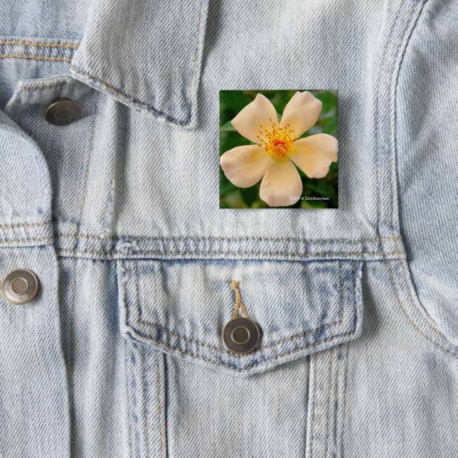 Badge Carré 5 Cm Mme Oakley Fisher Rose (En situation)