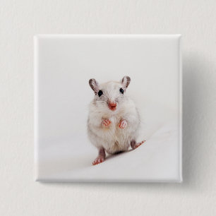 Badge Carré 5 Cm Modèle mignon animal de gerbilles d'animal