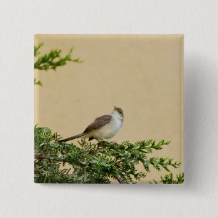 Badge Carré 5 Cm Moineau