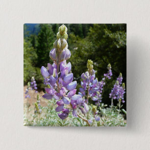 Badge Carré 5 Cm Mont Lupins