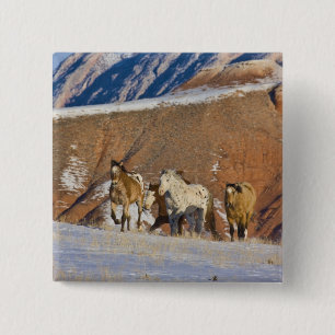 Badge Carré 5 Cm Montagnes Big Horn, Chevaux courant