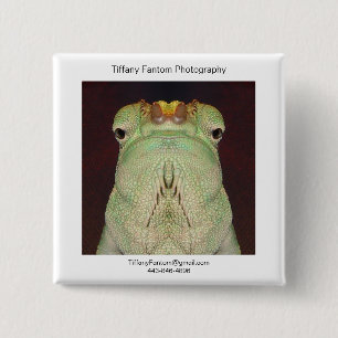 Badge Carré 5 Cm Morceau de promo de caméléon
